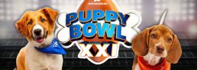 How To Bet On The 2025 Puppy Bowl Ahead Of Super Bowl 59